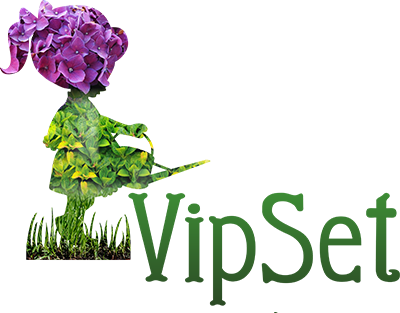 VipSet